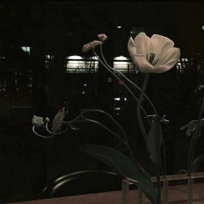 <p>滑头鬼是映于镜里之花 浮与水中之月。</p>
