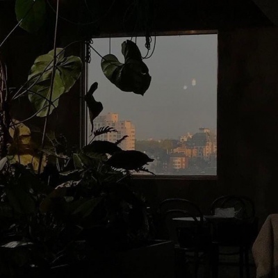 <p>我还以为是春天的关系，你的轮廓一直在，沙沙地抖动着。</p>