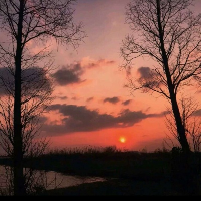 <p>人不风流枉少年，奈何人丑又没钱。</p>