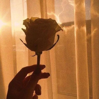 <p>这一生有你，便不想适应别的指教</p>