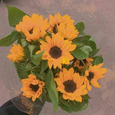 

<p>来吧，姿势已摆好</p>