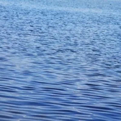 <p>没关系，由乃会保护小雪的。对吧，小雪~</p>