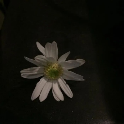 万法缘生，皆系缘分！