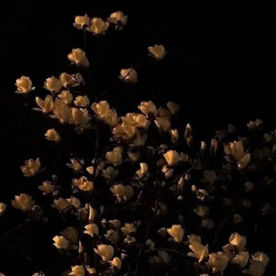 <p>皇权的过于集中才是导致腐败的根源。</p>