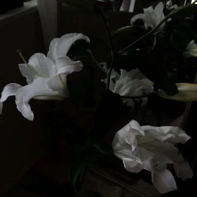 <p>人类的伟大，莫过于面对恐惧和绝望时的镇定。</p>