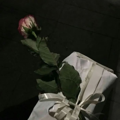 跑得快不一定赢，老跌跟头才是成功。