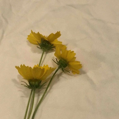 <p>时代真的是变了，以前是戴口罩去抢钱，现在是带钱去抢口罩。</p>