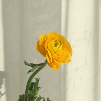 <p>洗剪20，洗剪吹200</p>