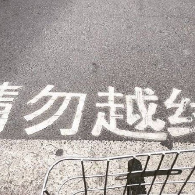 树木在夜晚来临前的淡金色的暮霭中闪闪发光。