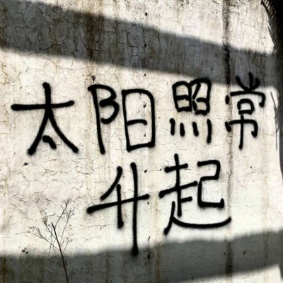 <p>自由不是想做什么做什么，是想不做什么，就可以不做什么。</p>