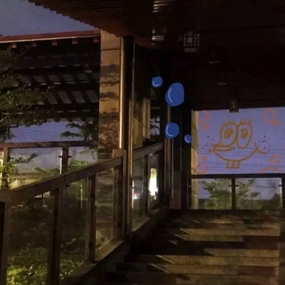<p>古人说笨鸟先飞，可还有一句话叫，枪打出头鸟。</p>