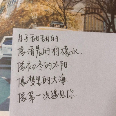 <p>我需要你的指点，但不需要你指指点点。</p>