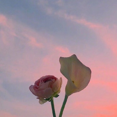 <p>百艺通，不如一艺精</p>