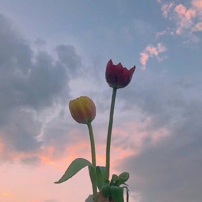 <p>这个世界，只需要一把剑就可以去往任何地方。</p>