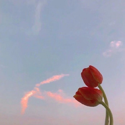 <p>人老的唯一好处就是，少了的东西越来越少了。</p>