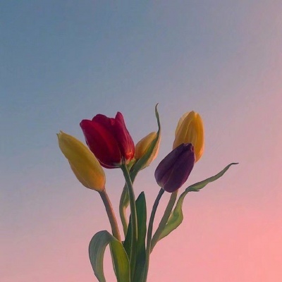 <p>一炮而红</p>