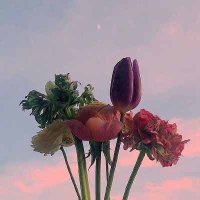 <p>古人说笨鸟先飞，可还有一句话叫，枪打出头鸟。</p>