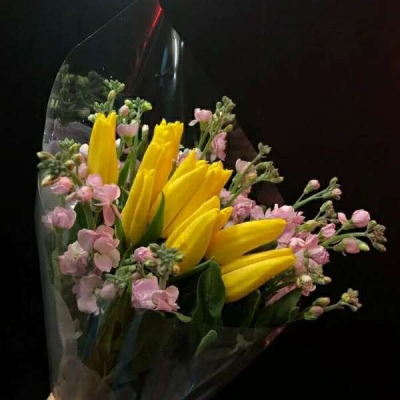 <p>不想撩妹只想撩你</p>