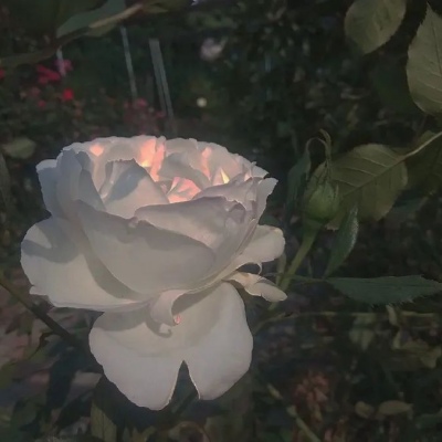 <p>在这个熟悉而陌生的城市中，无助地寻找一个陌生而熟悉的身影</p>