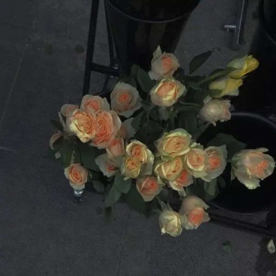 <p>撞衫的绝大部分原因，是便宜。</p>