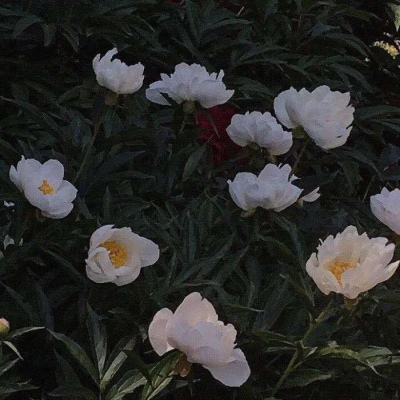 

<p>若没有身份，连吃醋都要把握好分寸。</p>