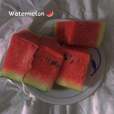 <p>我的前面是聪明的敌人，后面是无能的同伴，我必须同时与这两者搏斗。而且我自己也不是众望所归的目标。</p>