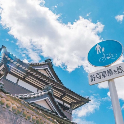 我的辫子长在头上，诸君的辫子长在心里。