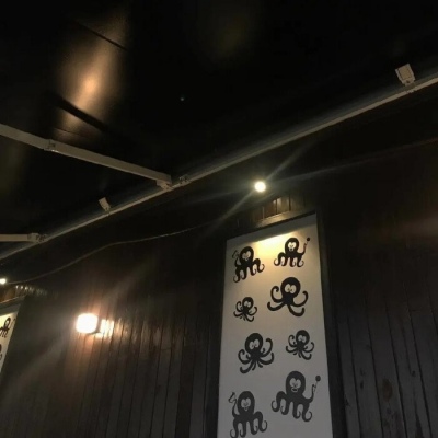 <p>渐渐的我不再期待任何人和事了.</p>