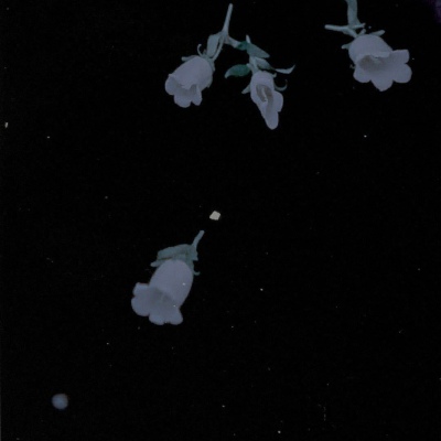 

<p>IfIknowwhatloveis,itisbecauseofyou.</p>