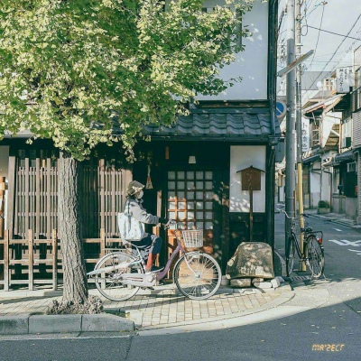 

<p>试试并非受罪，问问并不吃亏</p>