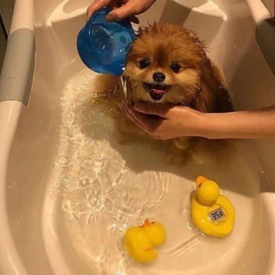 <p>你是往日的情书，是日落的余情未了，是路人脚下不停生长的风，也是我喜欢的人.</p>
