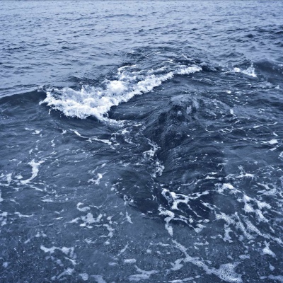 
<p>100°的开水都能凉，更何况是，只有37°的人心呢？</p>