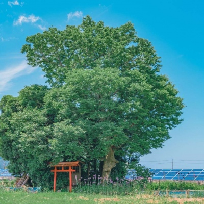 <p>2019年的不顺，终于结束了，2020年的坎坷开始了。</p>