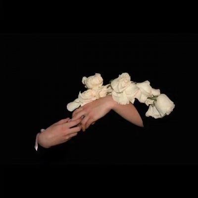 道生之，德蓄之，物形之，势成之。