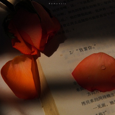 <p>因为不够幸运所以要努力，也因为不够幸运，所以努力都只是白费。</p>