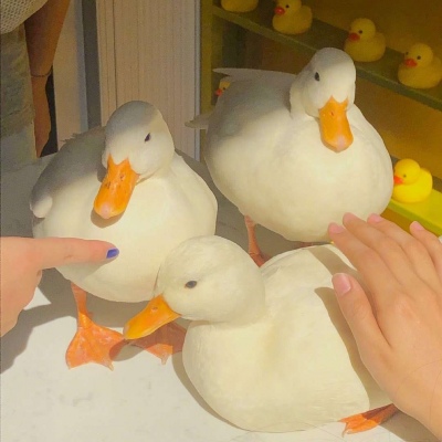 不要有趣，要有用.