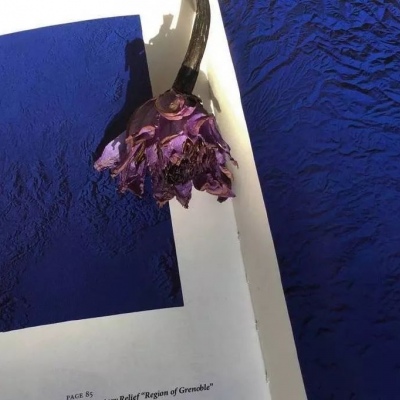 <p>网球就是网球，接到球然后打回去。</p>