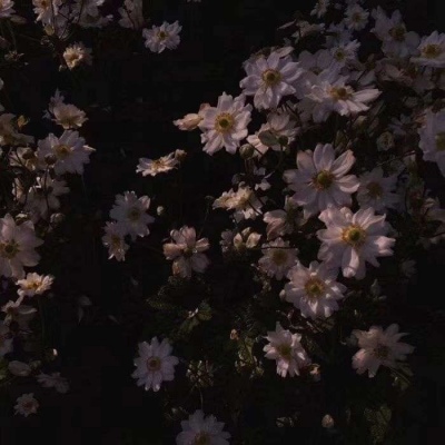 <p>以前上学是拿钱混日子，现在工作了，是在拿日子混钱。</p>
