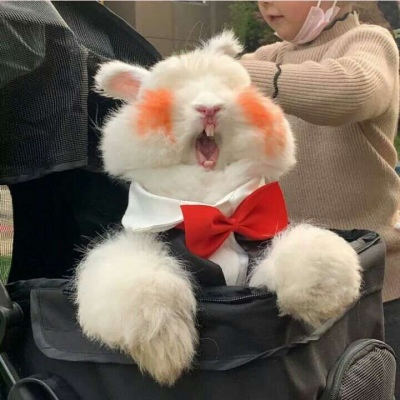 

不要太秀，后起之秀很多。