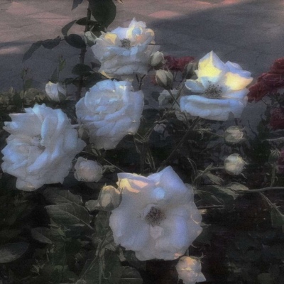 <p>山河有你</p>