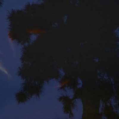 <p>二十岁不狂是没有志气，三十岁犹狂是没有头脑</p>
