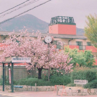 <p>日日称重日日重，年年减肥年年肥。</p>
