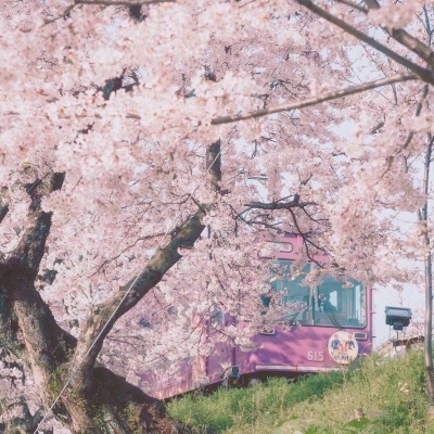 <p>我不会输给同一个对手第二次。</p>