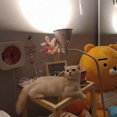 

祝你做人不缺爱，做爱不缺人