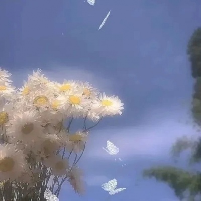 <p>世界上没有一种鸟能够一直飞翔，永远不需要落地。</p>