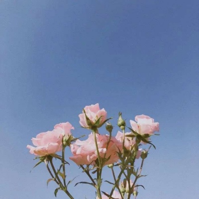 <p>如果你饿了，打电话给我，我嚼点零食给你听。</p>