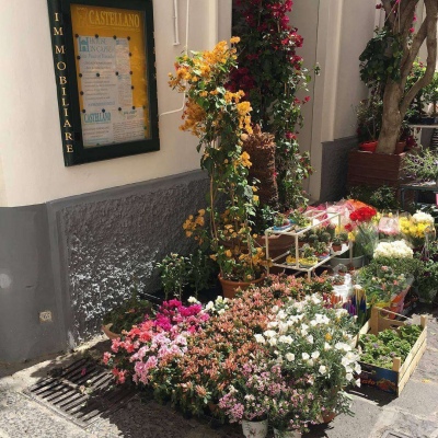 信息学竞赛中没有证明。