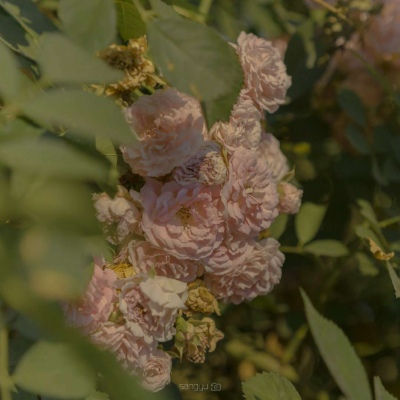 <p>美丽的不是这个世界，而是接受了这个世界的你的眼睛。——吸血鬼骑士</p>