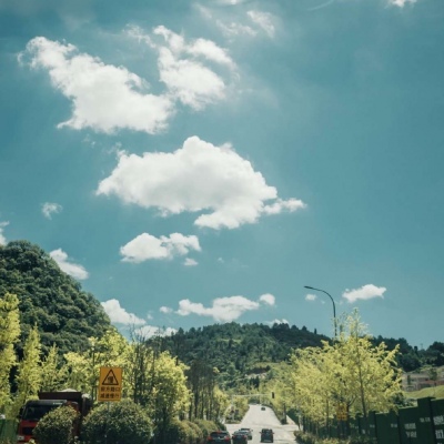 <p>也许道歉根本不重要，我只是想再见你一面而已，黑猫。</p>