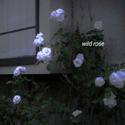<p>神奇的小精灵，是属于我的啦。</p>